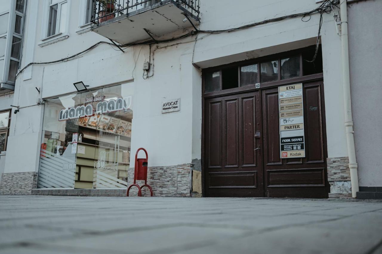 Central Studio Apartment Cluj-Napoca Exterior foto